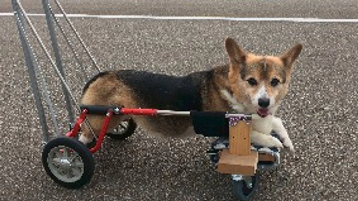 【メッセージリレー#４】スタッフの村中理佳さんからメッセージいただきました。