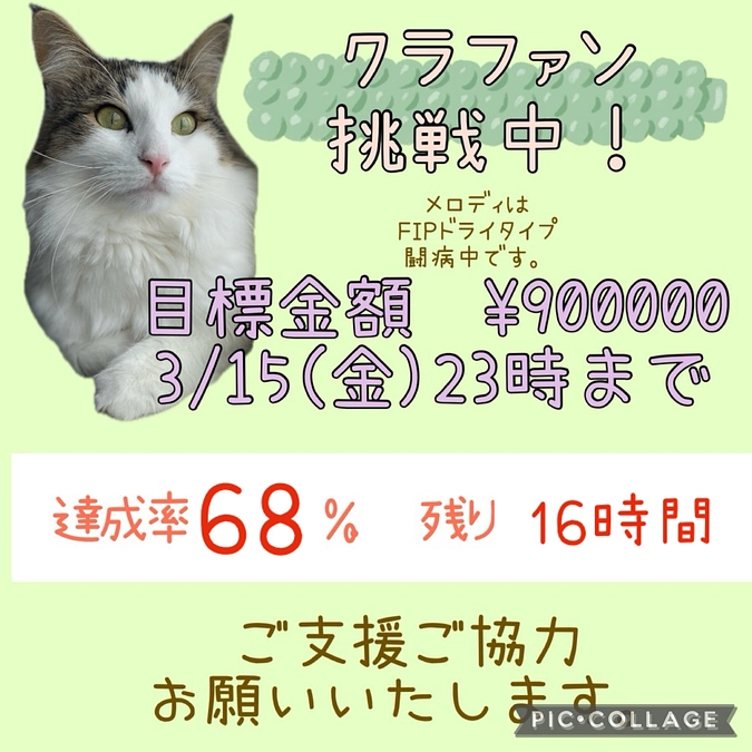 遂に最終日です。