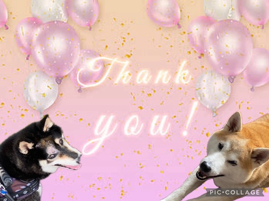 クラウドファンディング達成