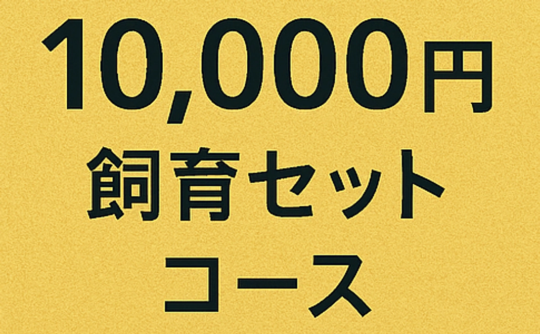 親子で楽しむ飼育応援コース