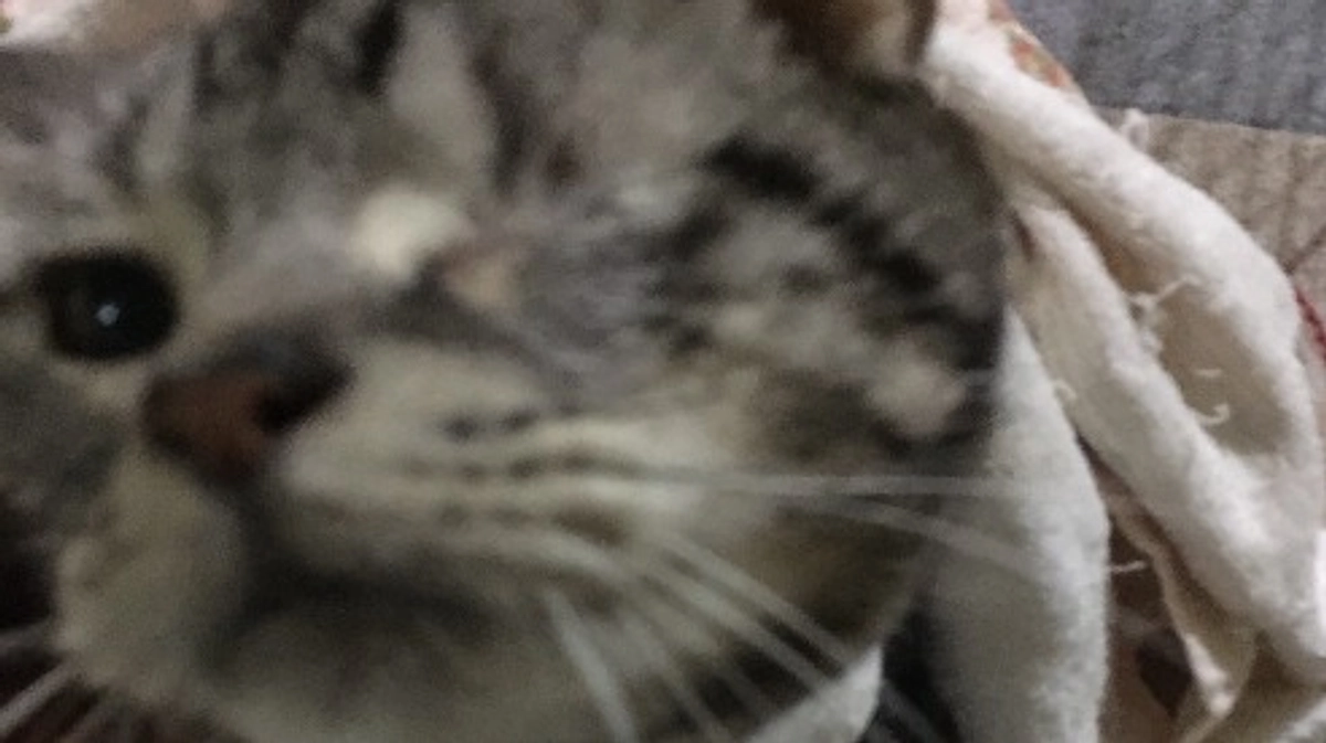 残り2日となりました。