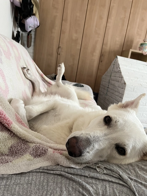 拡散、応援有難うございます‼️