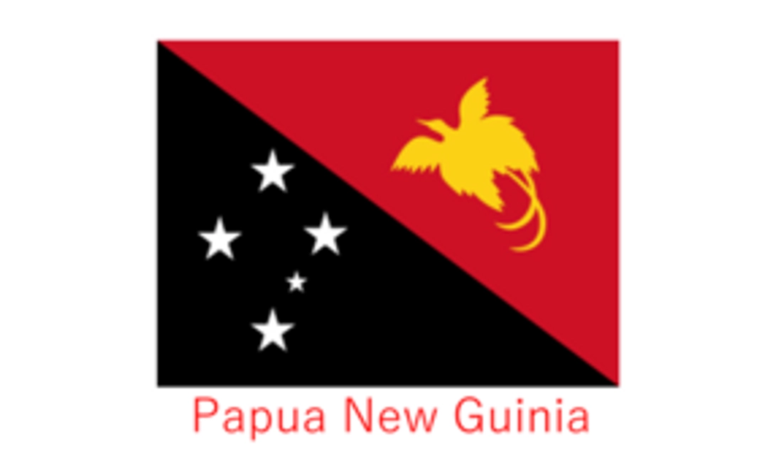 みんなで知ろう、国際協力とパプアニューギニア！ーパプアニューギニアへの渡航経験や関連情報を随時お伝えします (小物付き)ー