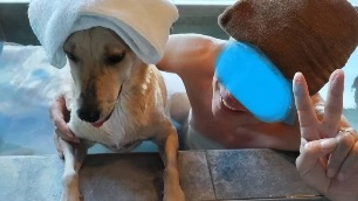 ゆうたくん里親様から応援メッセージをいただいております！