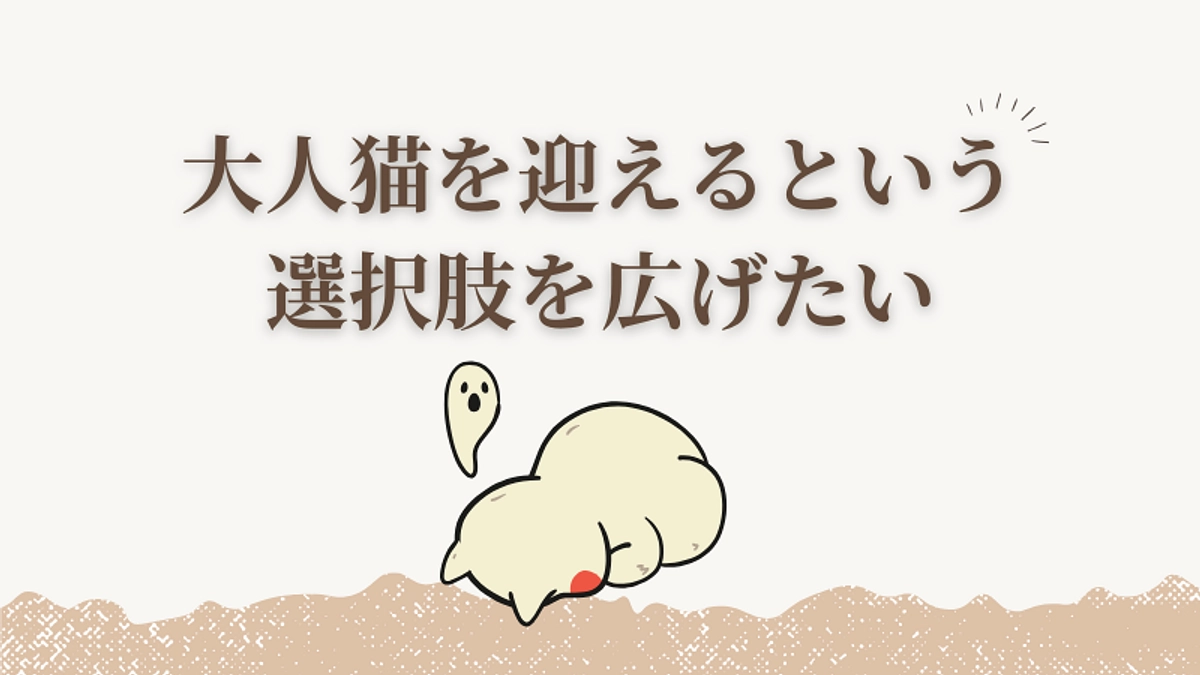 【私たちの思い】大人猫を迎えるという選択肢を広げたい