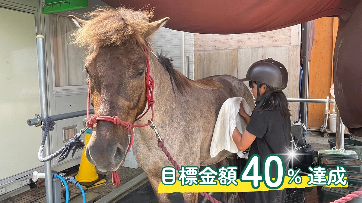 【40％達成】応援ありがとうございます！ほづみの誕生日に120万円に到達しました！