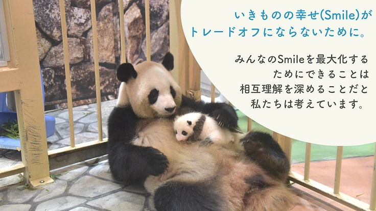 いきものの循環を楽しく学ぶゲーム大会開催@アドベンチャーワールド 3枚目