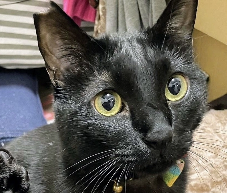 ご報告が遅くなりましたm(_ _)m