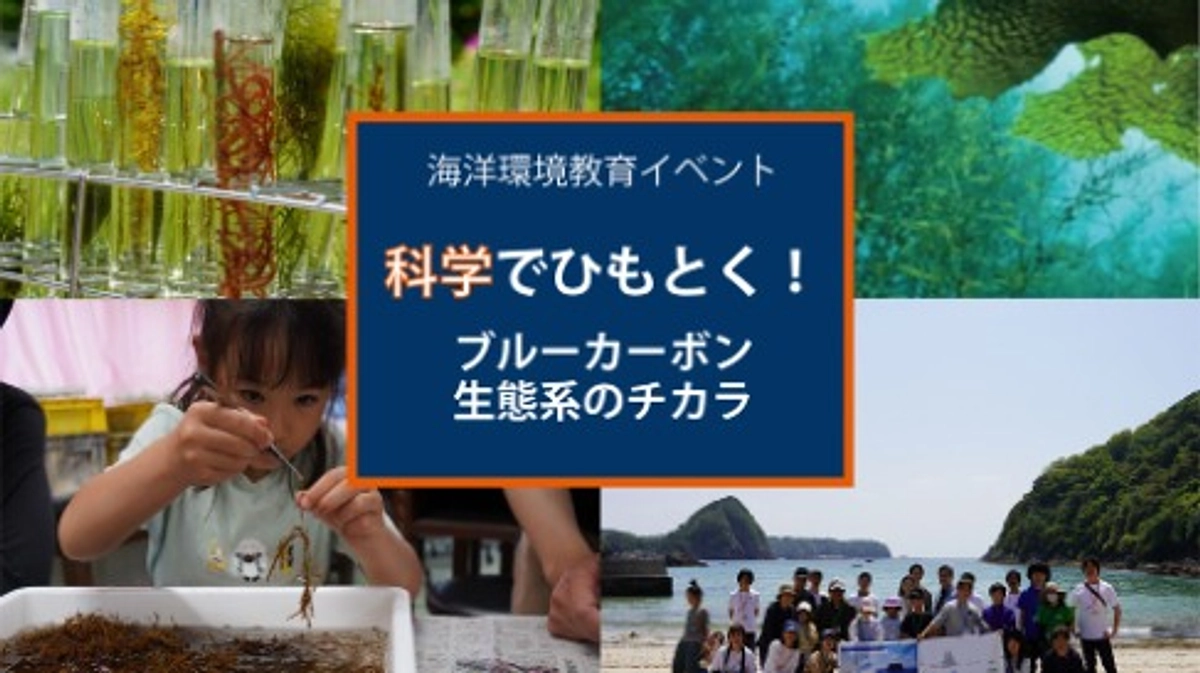 新潟県佐渡イベント情報：科学でひもとく！ブルーカーボン生態系のチカラ