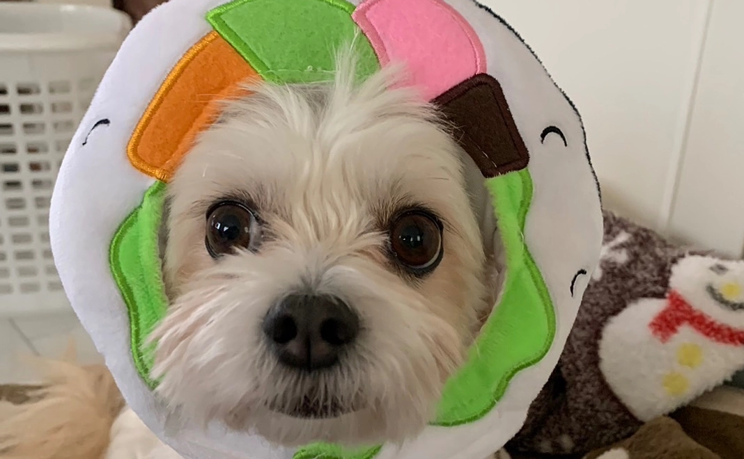 ３)感謝のメールと活動報告