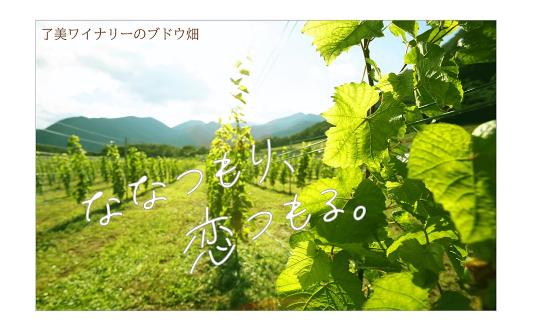 オリジナルポストカード(クラファン限定)