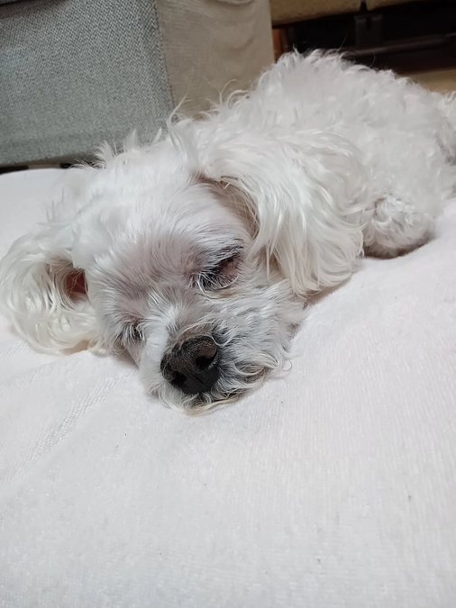 元気にしています