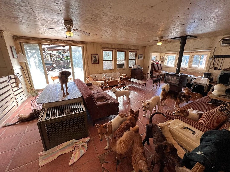 完・見えない敵との戦い：先生たちの判断は 「ま、まず間違いなくコフでしょう。」でした。