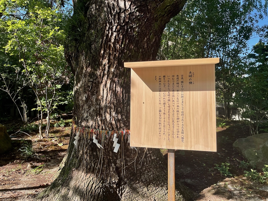 みなさまのご支援から１年が過ぎていました…