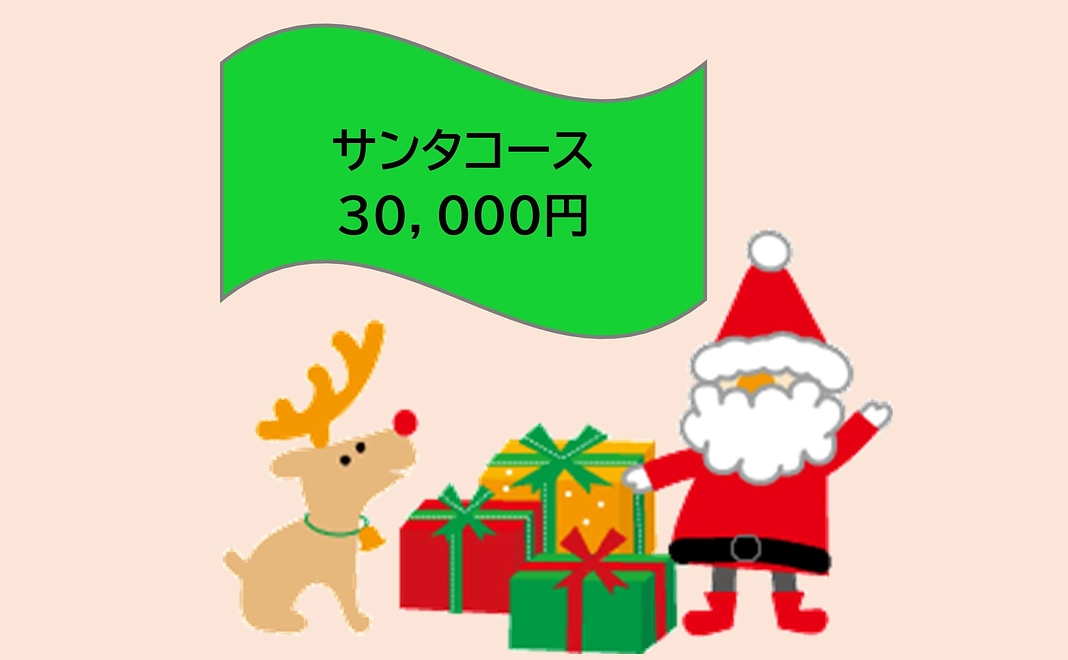 サンタコース：30,000円