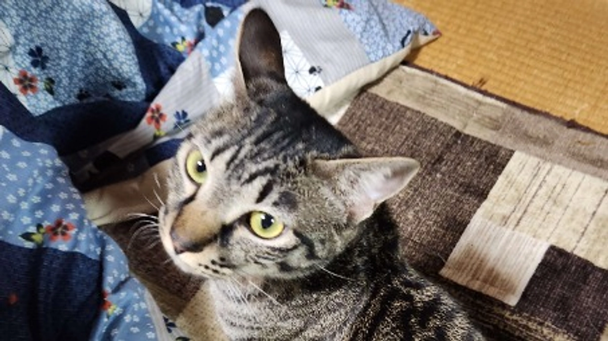 🎂楓ちゃん１歳のお誕生日🎂