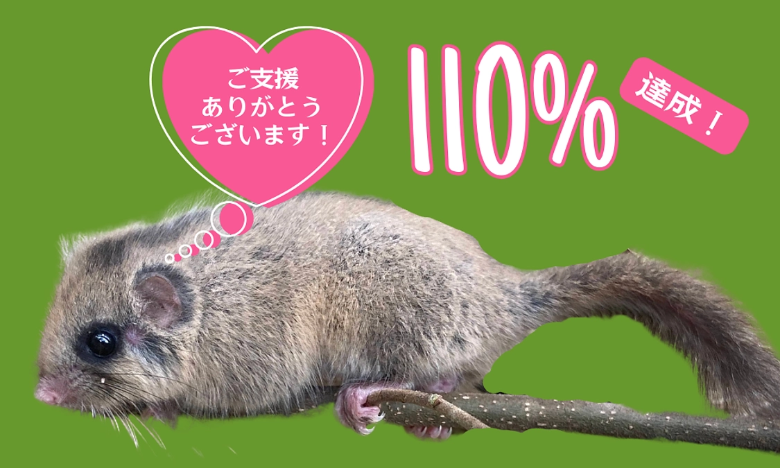 【💚110%達成に感謝！】アニマルパスウェイを利用するヤマネの姿をご紹介！