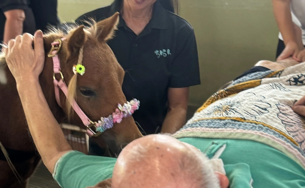 【法人向け】 スポンサー月100,000円コース