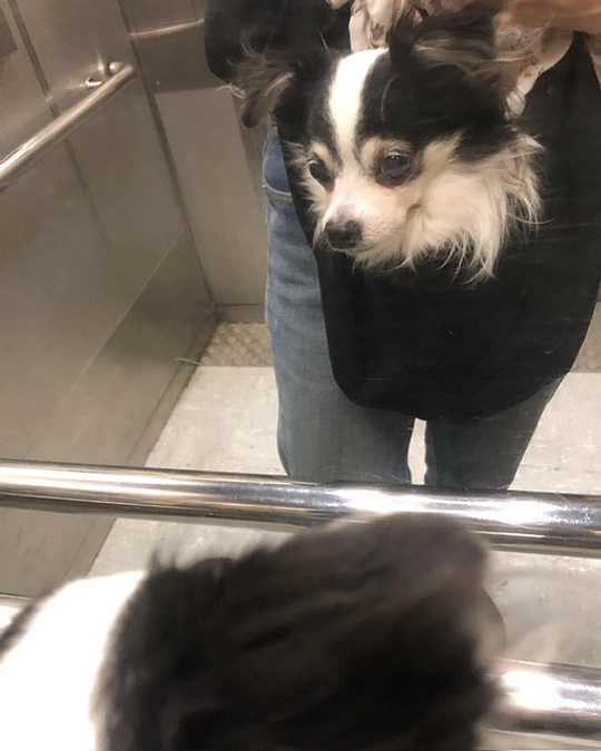 いよいよあと1週間になりました😣