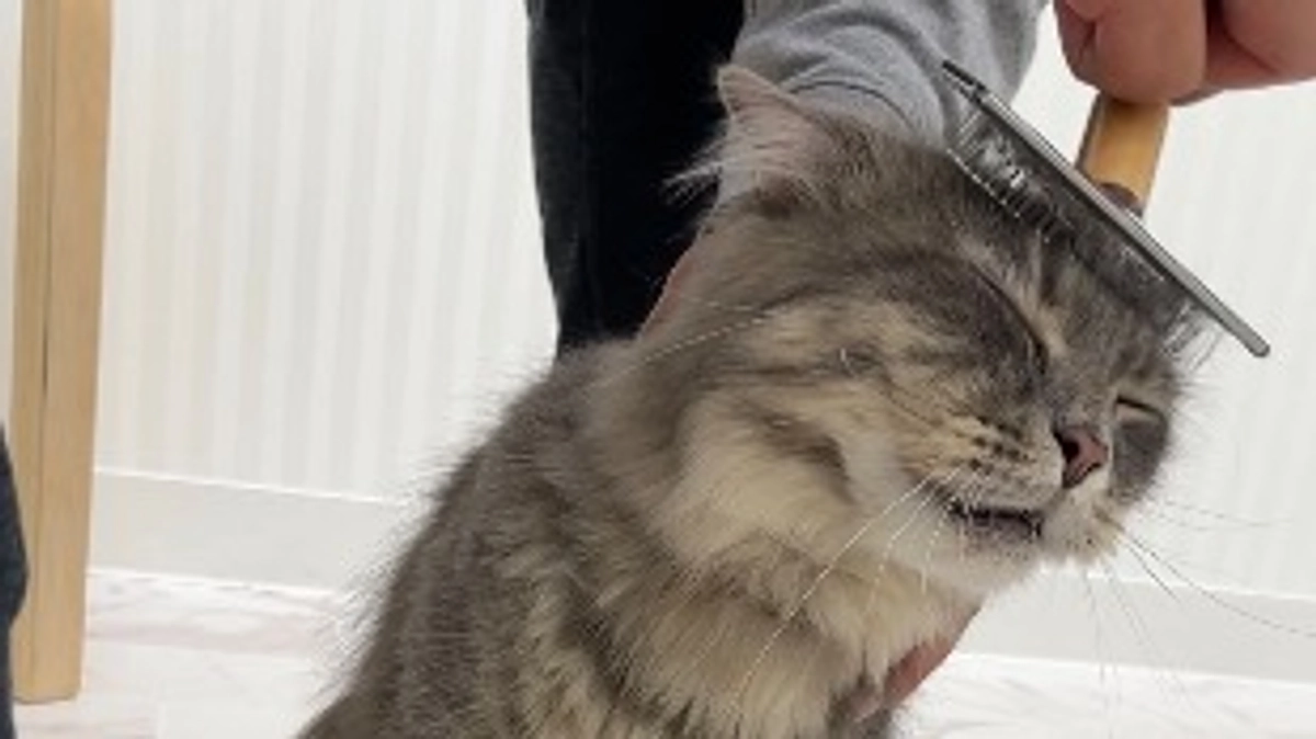 投薬59日目　気持ちいい顔