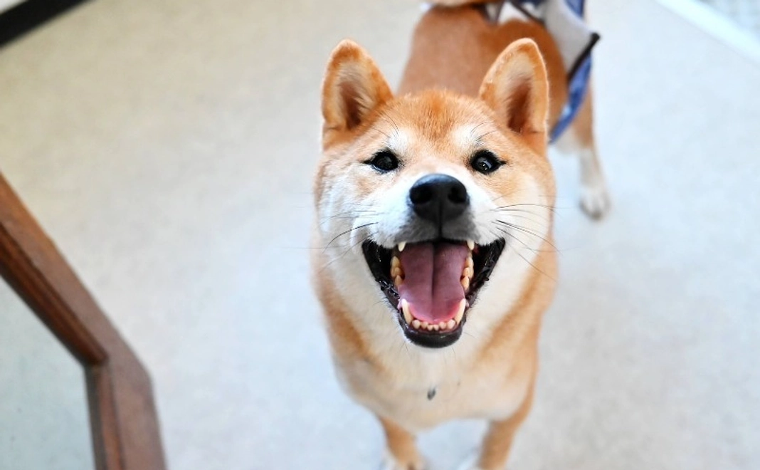 SORA全力応援コース｜10,000円