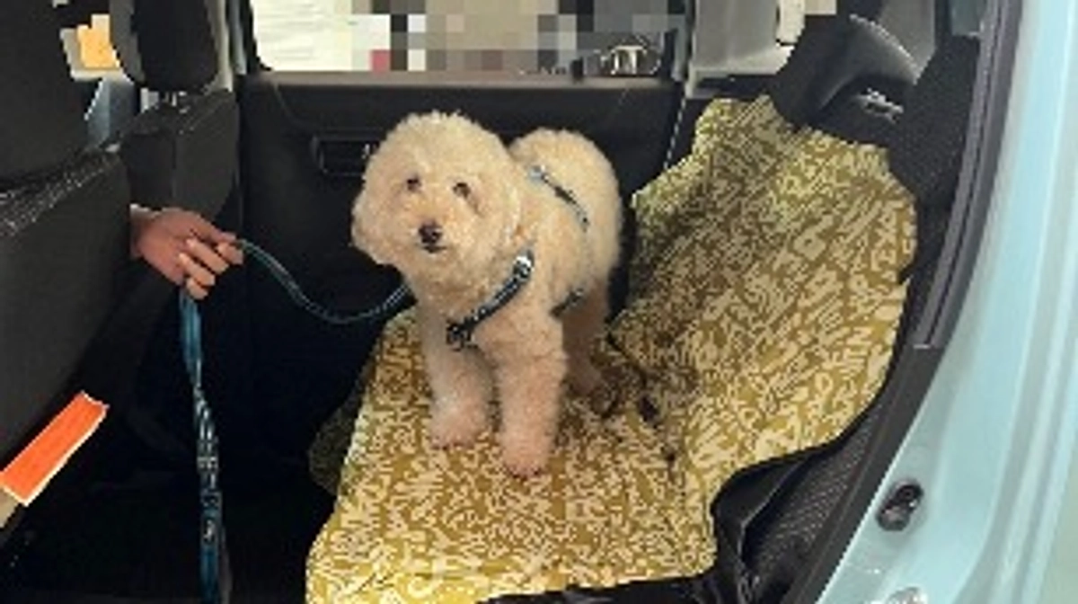 残り8日となりました