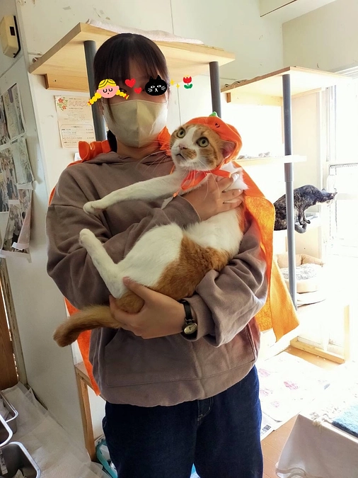 子供達の笑顔あふれる　ふらっとフラットwith  cats ＆ dogs が始まりました。来てね！