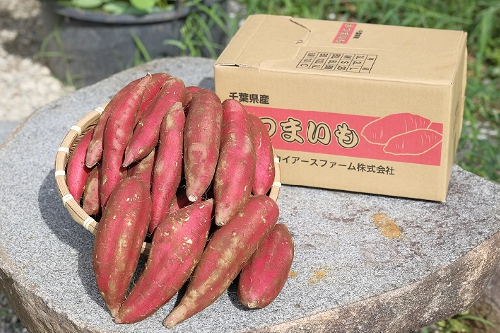 クラウドファンディング終了のお知らせ