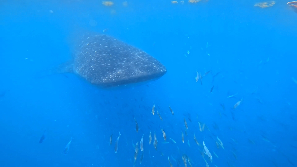 目標金額達成🙇🏻‍♂️✨