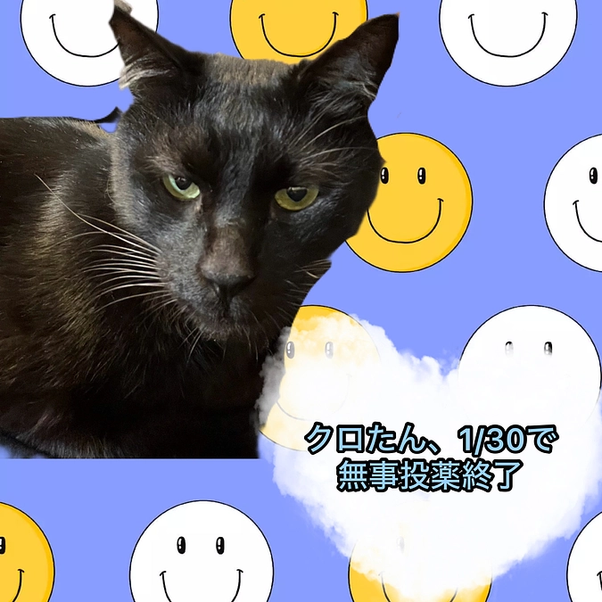 投薬終了2週間前検査結果でました、