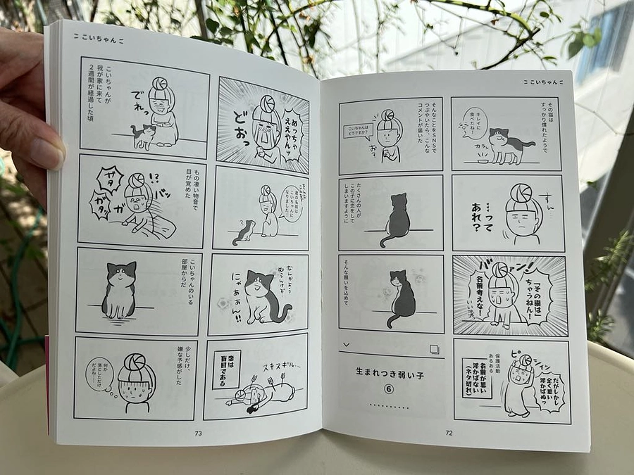 たまさんの想いと猫たちの命をつなぐ｜ダブル支援の特別リターン登場（直筆サイン入り）！