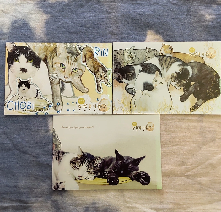 ～2024年・夏秋版返礼品の発送済のお知らせについて～