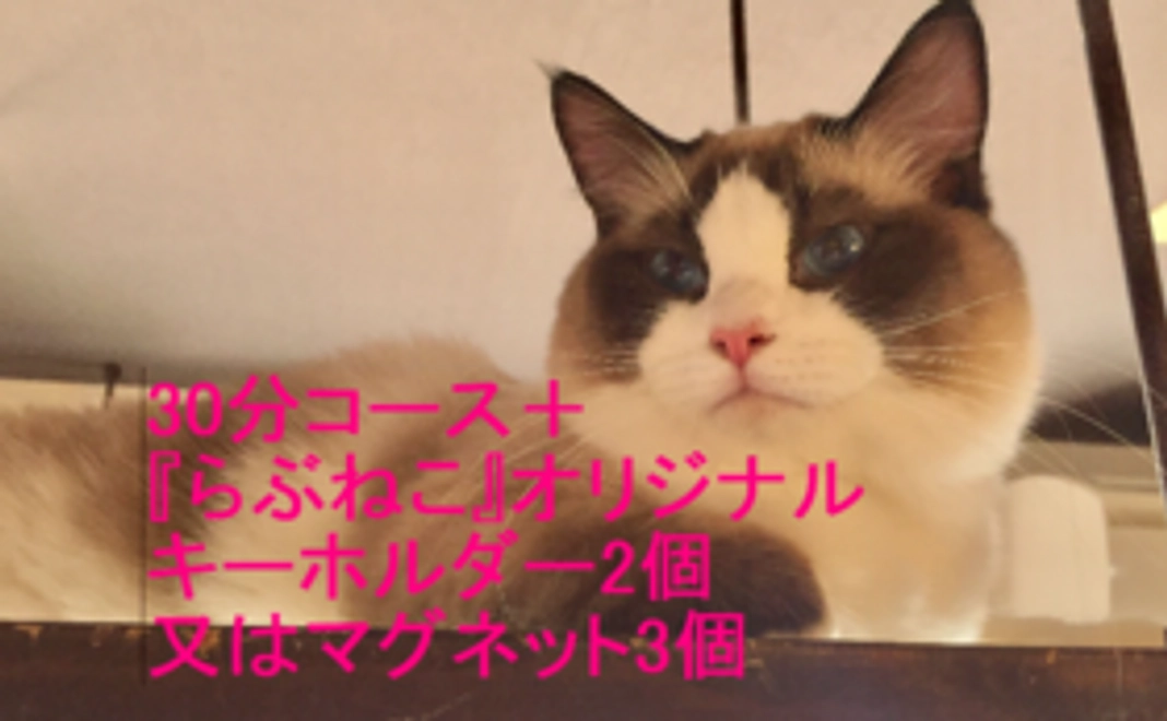 ①30分コース＋『らぶねこ』オリジナルキーホルダー2個又はマグネット3個