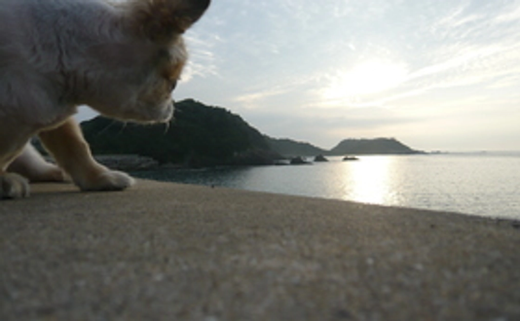 サンクスレターコース