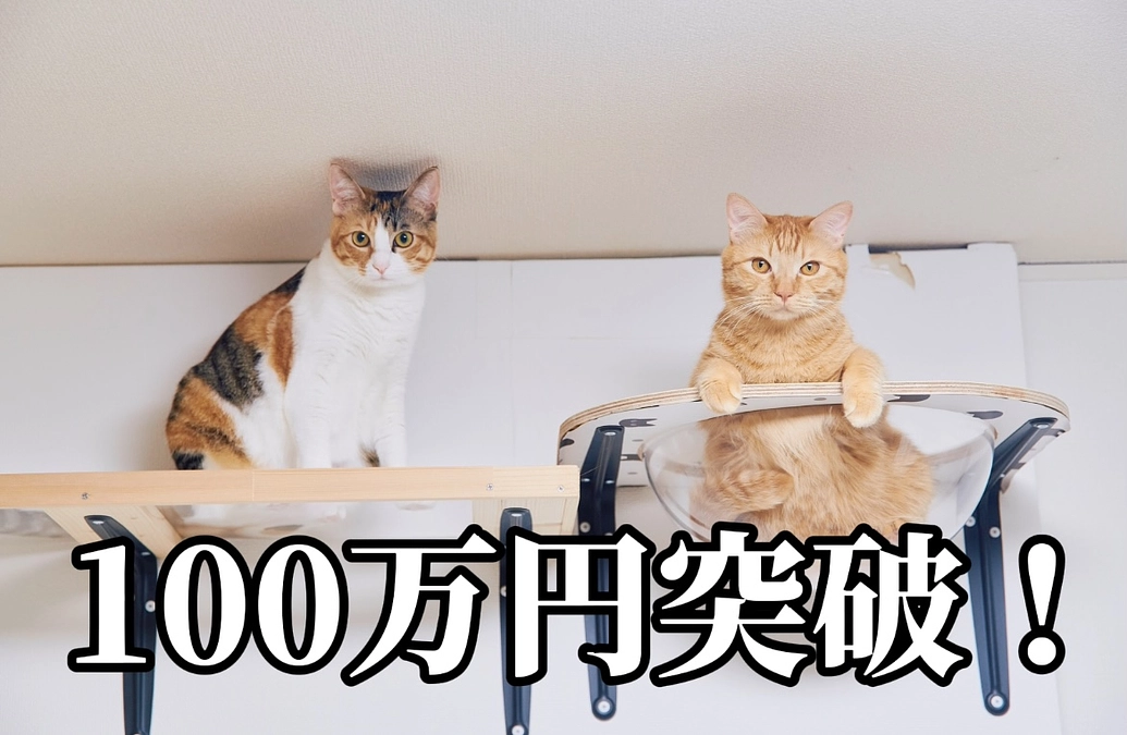 100万円達成しました！