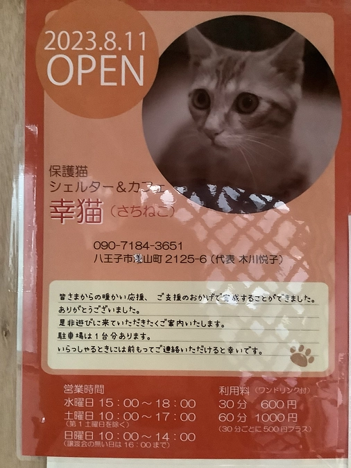 シェルター遊びに来て下さい