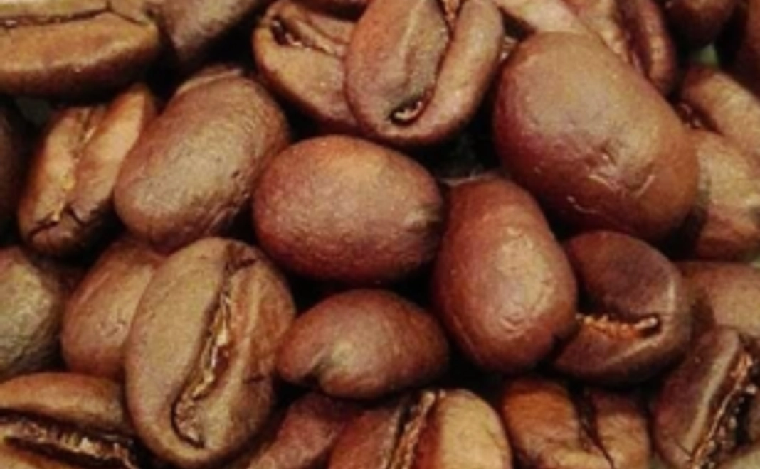 【希少種贅沢豆入り！】定期配送3ヶ月 OTTANTA COFFEEおすすめ焙煎豆150g×2種類【合計900g】