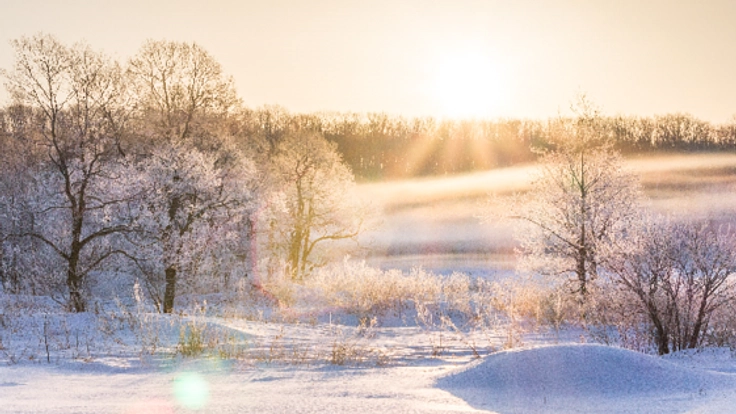 冬こそ、十勝!知る人ぞ知る魅力を動画で世界中に発信したい!