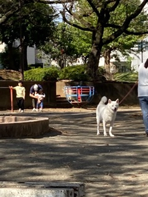 これからの若い子達の未来に期待して、セカンドゴールの達成のお礼の言葉にしたいと思います