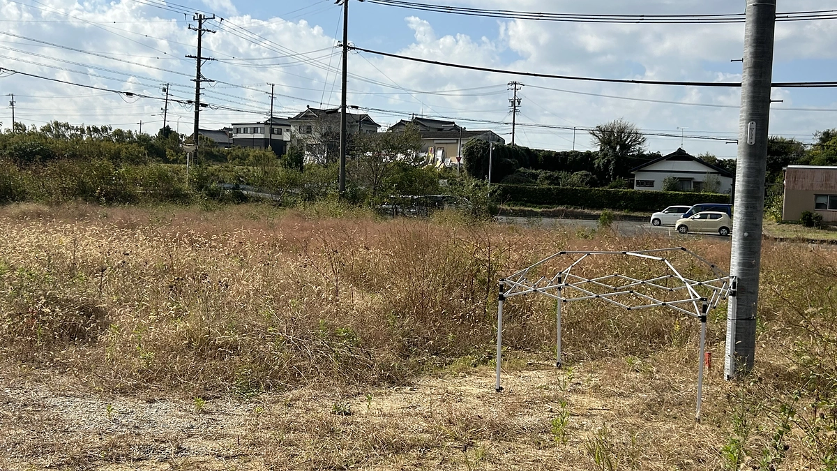 BALL PARK17の現状！