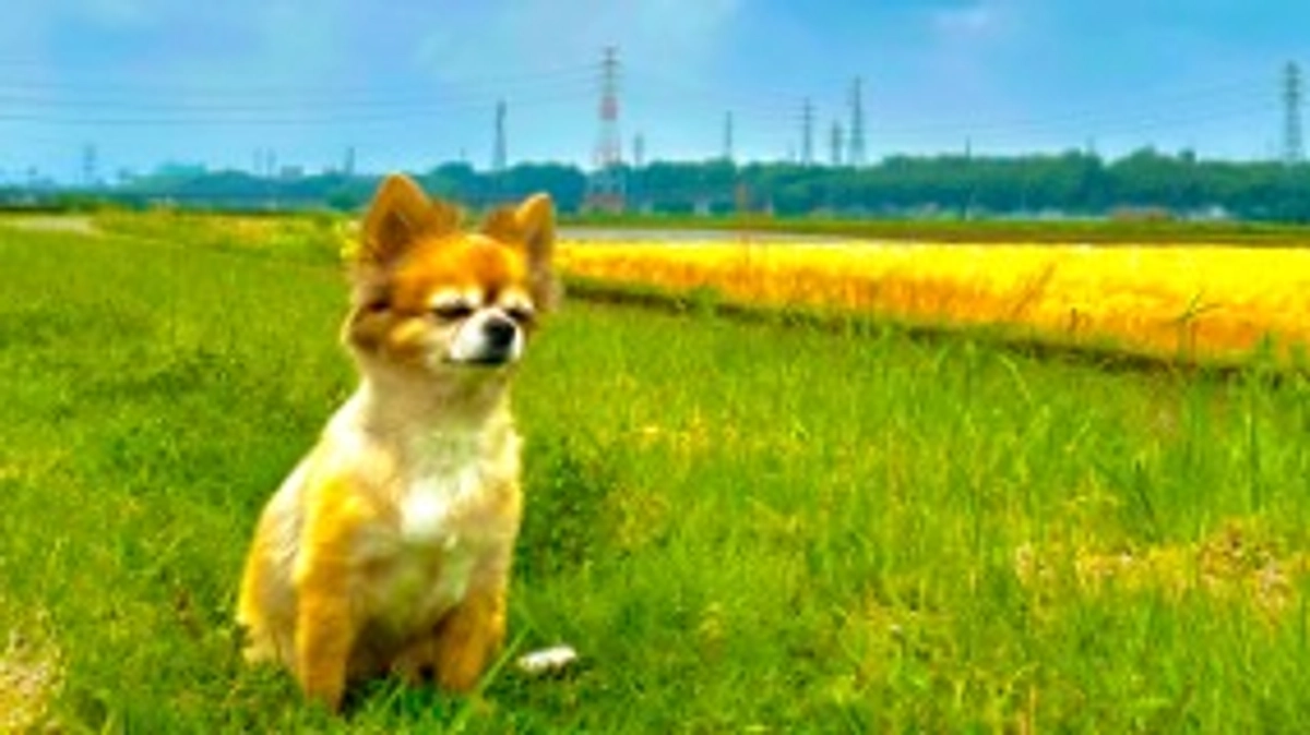 達成率42%⭐️心より感謝申し上げます【活動報告26日目】