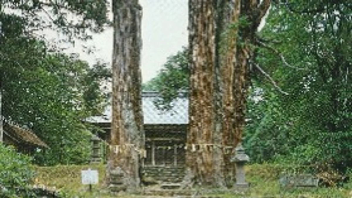 支援率60％突破