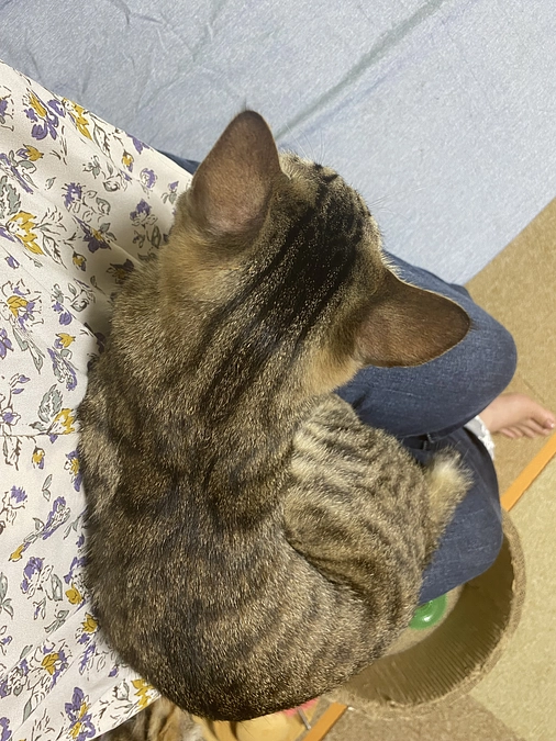 7月30日 夜　目標達成させていただきました。