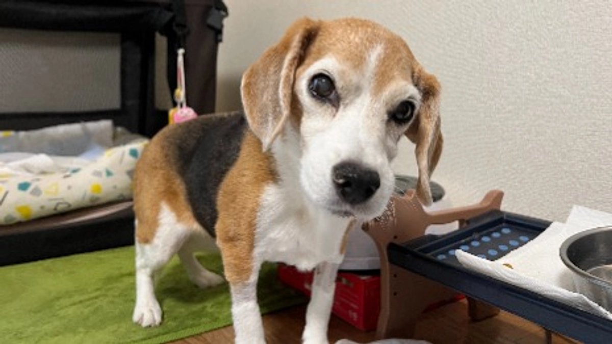 10/11 出口の見えないトンネルにいるような気持ち。