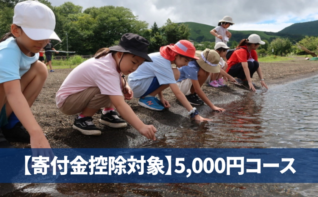 【寄付金控除あり】5,000円コース