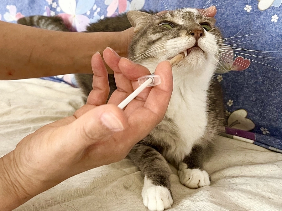 ご質問への回答