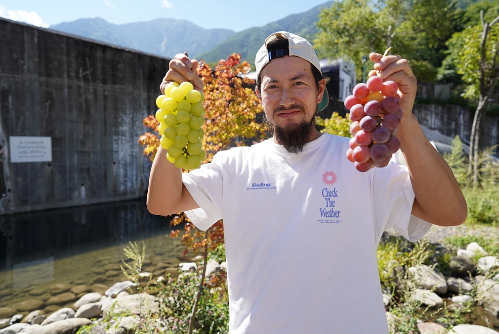 【感謝】皆様に支えられ大切な葡萄が実りました🍇