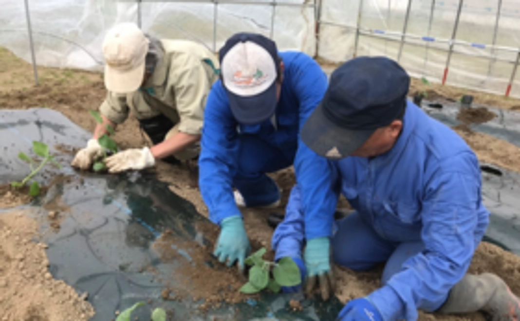 お気軽応援コース