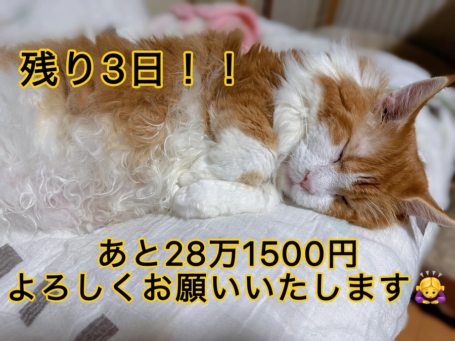 鼻血の経過　クラファン終了まで残り3日！！