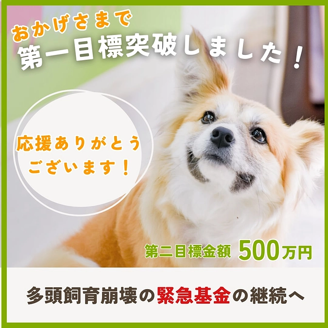 【もうすぐ寄付者様200人！】第一目標達成に心から感謝です！ネクストゴールに挑戦します！